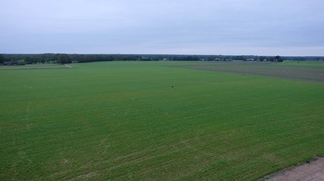 Dauwtrappen (donderdag 30 mei 2019)